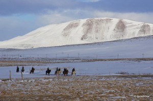 Kaldbakur Tour 2015 (18)